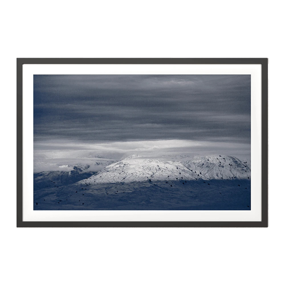 Framed Art with Great Ararat & Birds Landscape