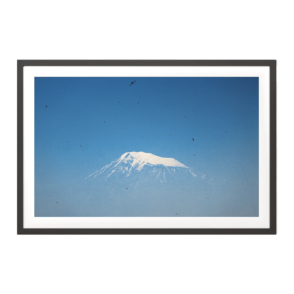Framed Picture Great Ararat Mountain View
