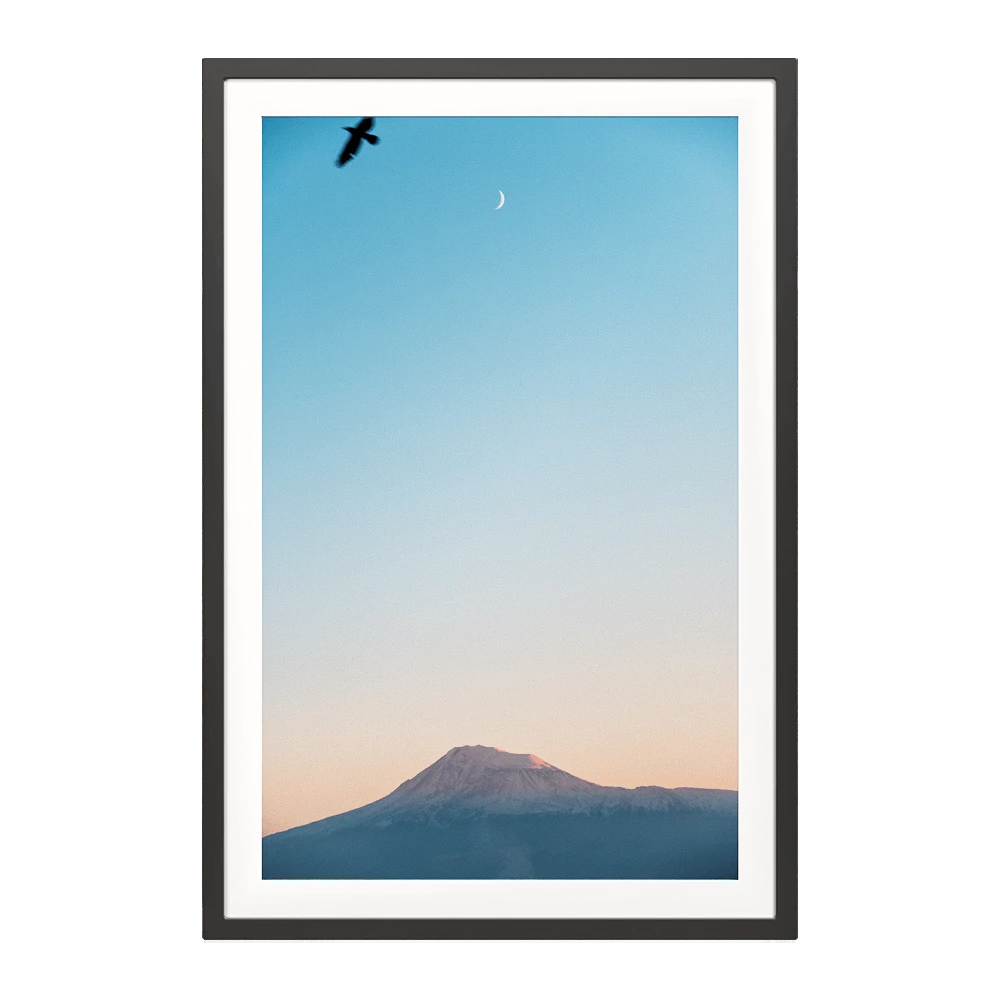 Framed Picture with Mountain and Birds