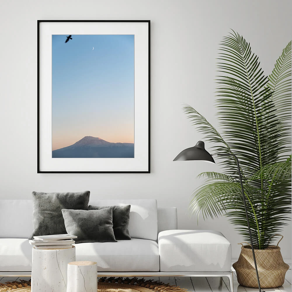 Framed Picture with Mountain and Birds (2)