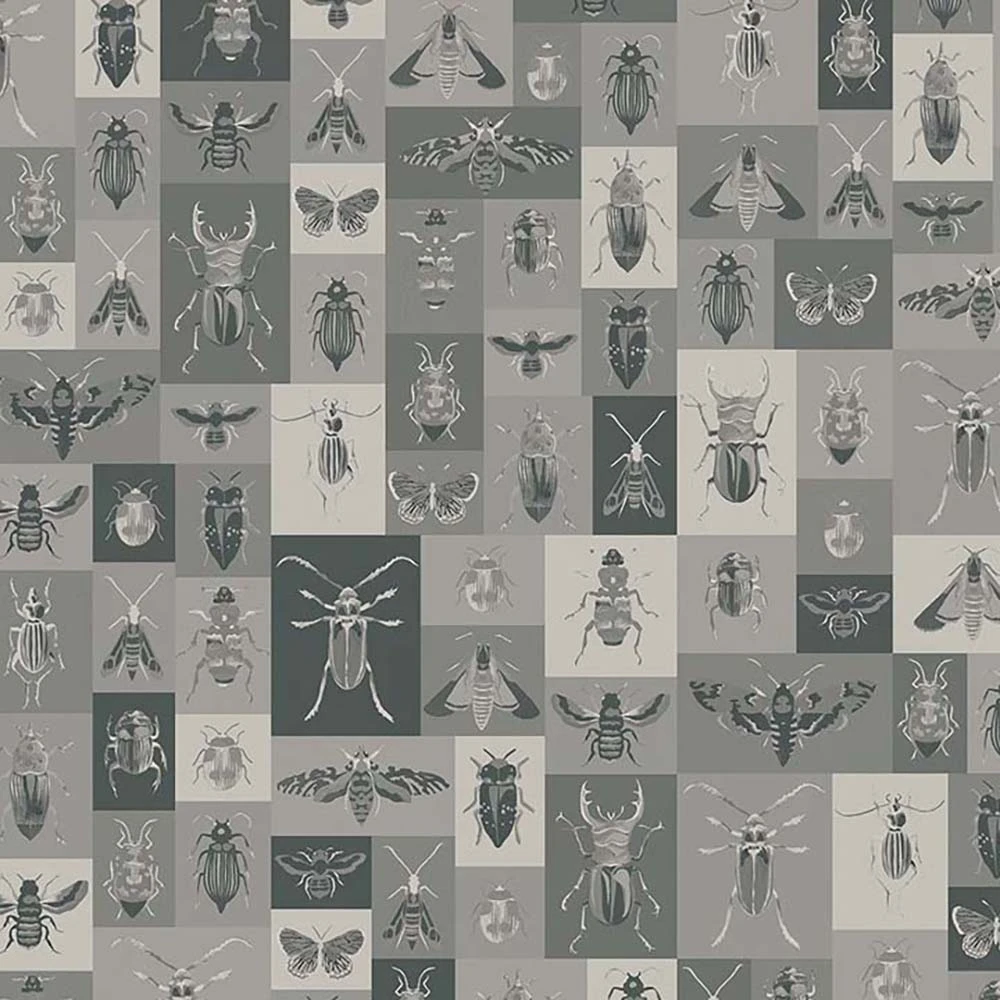 Rivestimento murale 3