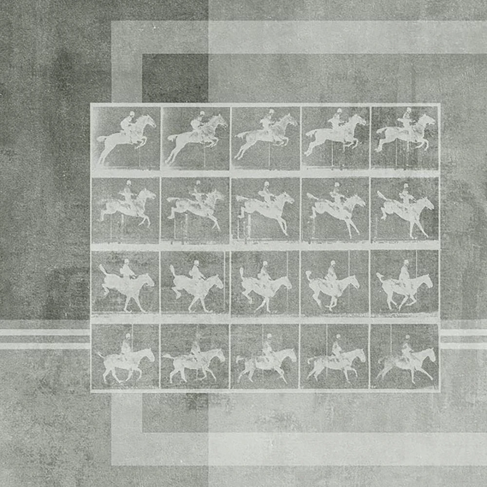 Պատի ծածկույթներ 1