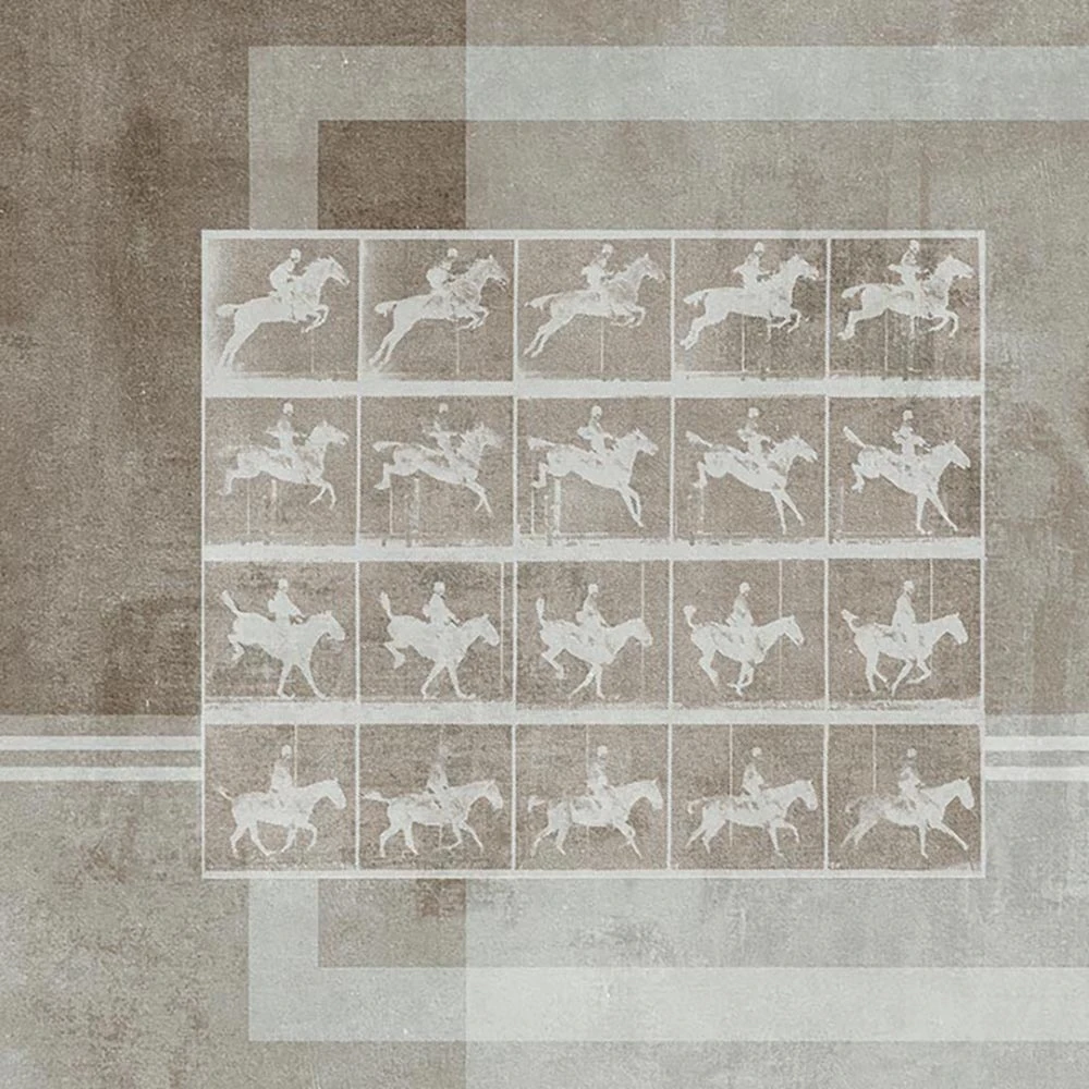 Պատի ծածկույթներ 3