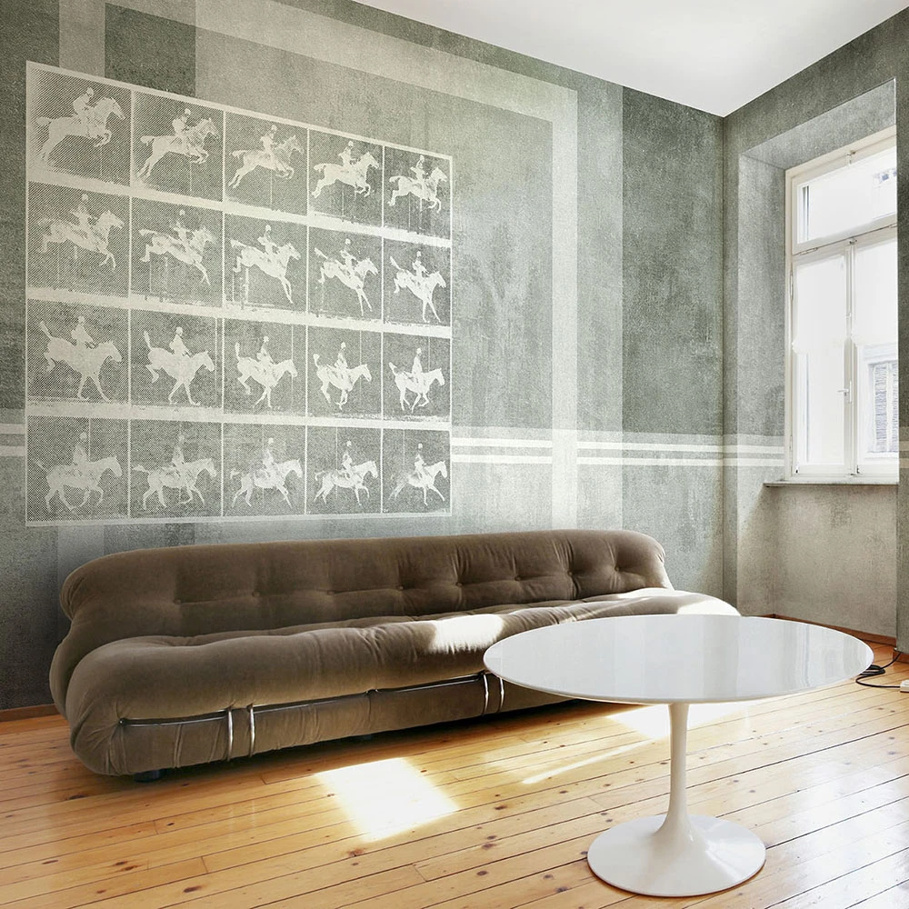 Պատի ծածկույթներ 4