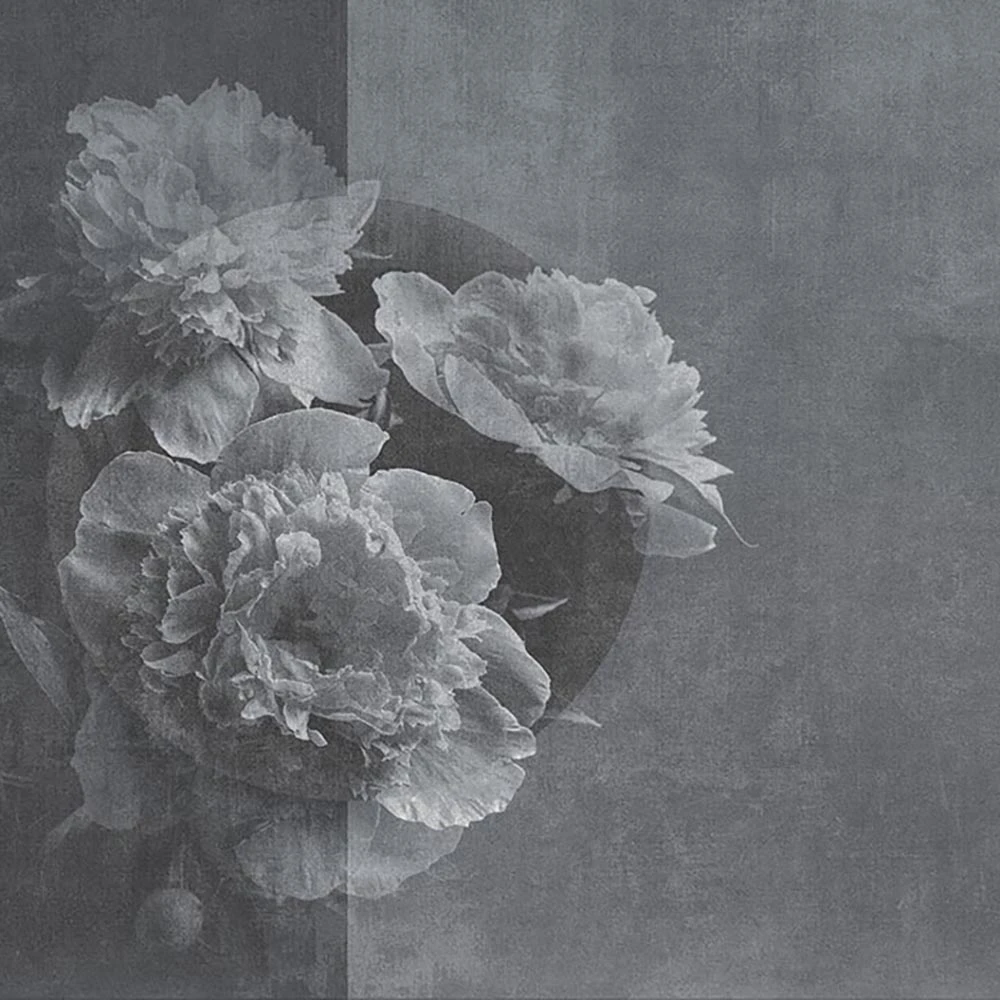 Պատի ծածկույթներ 2