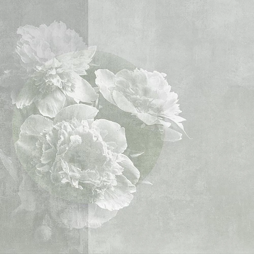 Պատի ծածկույթներ 3