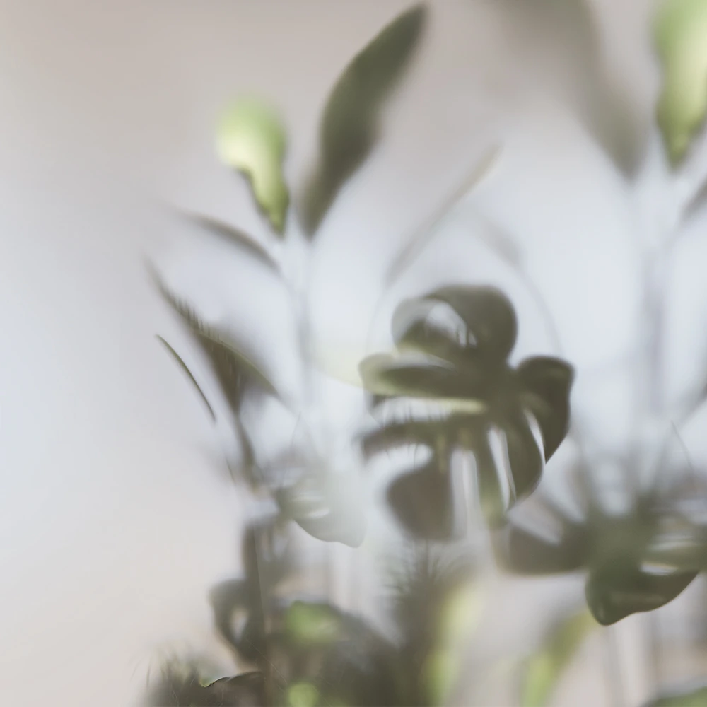 Rivestimento murale 1