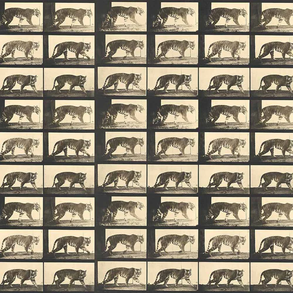 Стены, обои 1