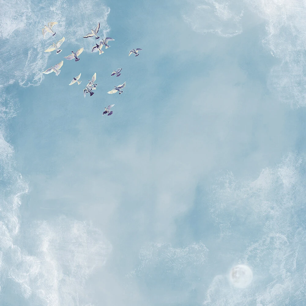 Rivestimento murale 1