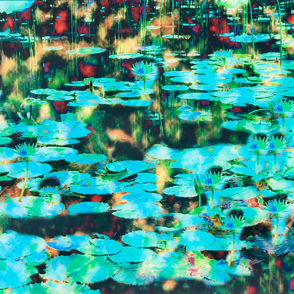 Rivestimento murale 1