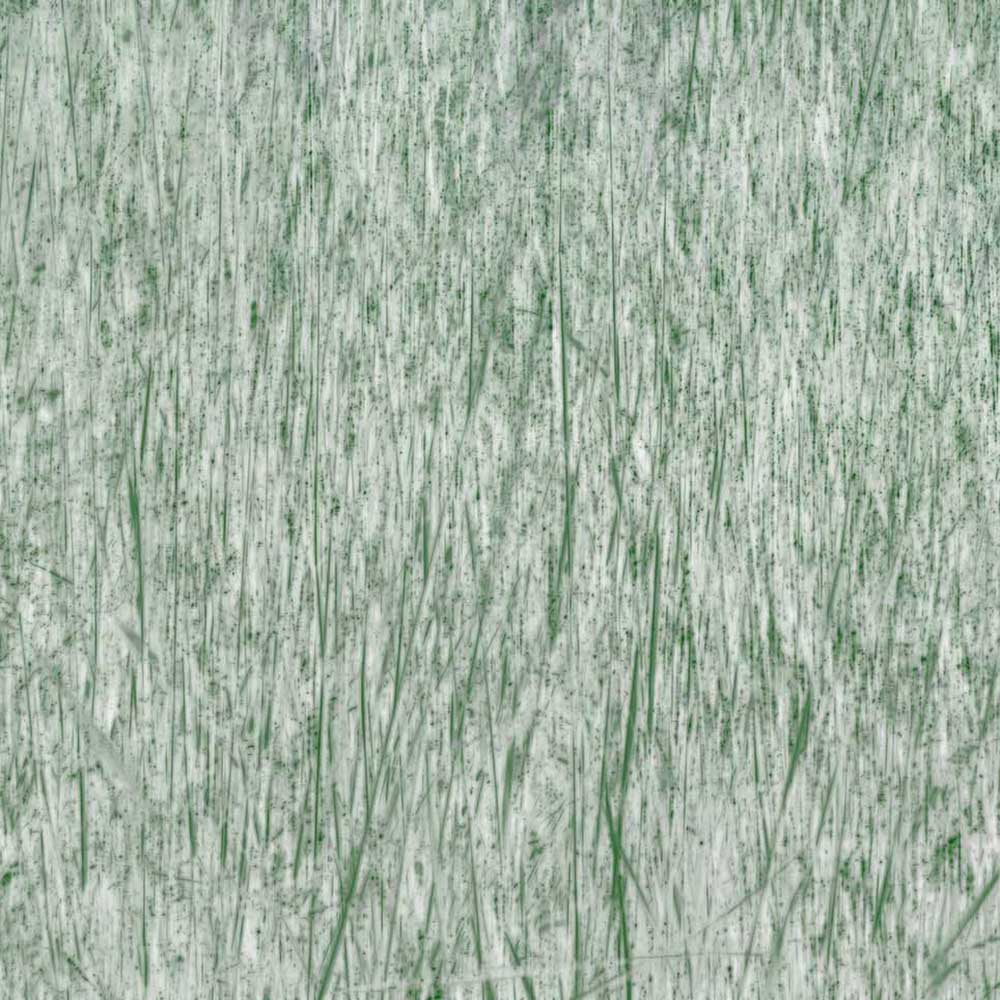 Wallpaper Reeds 1