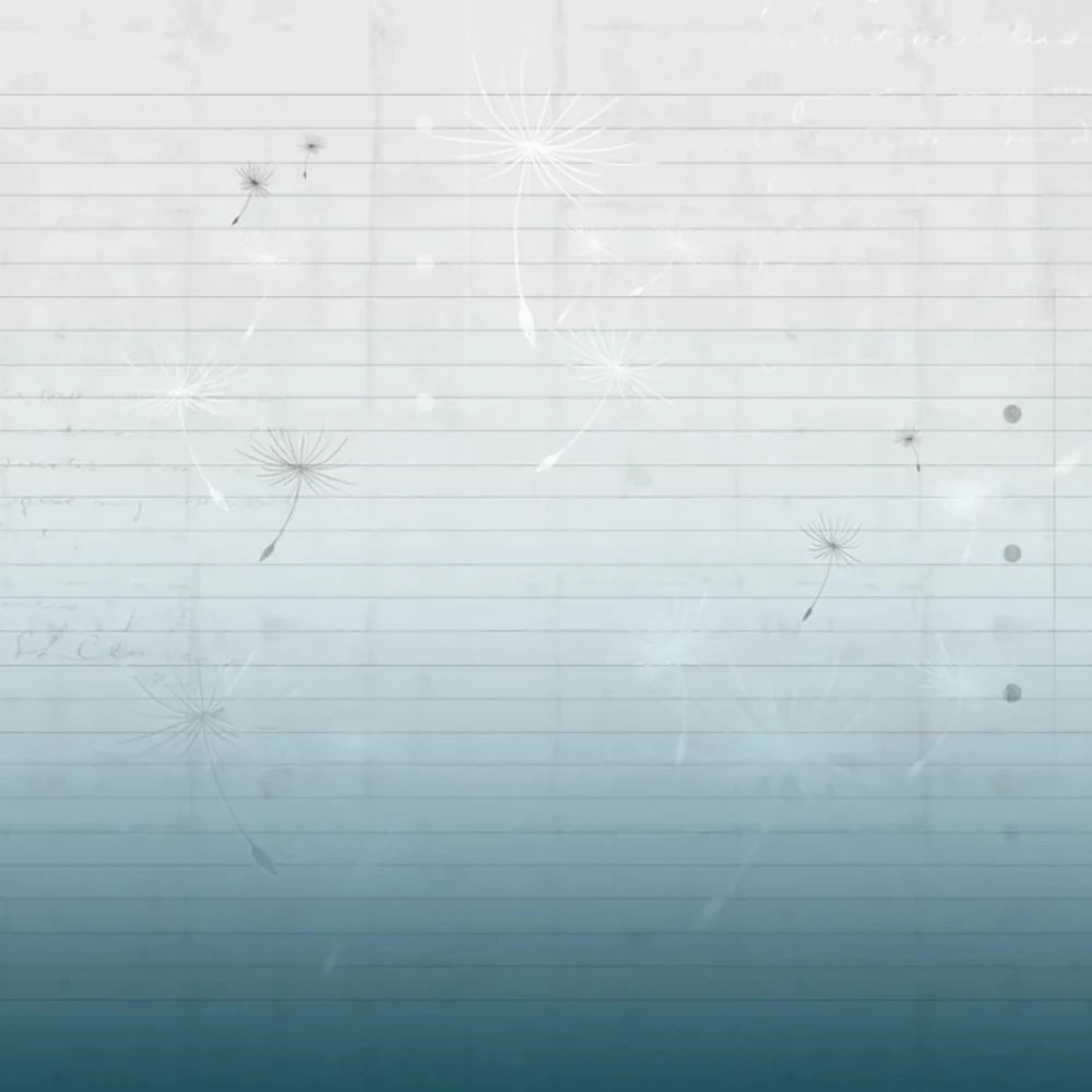 Պատի ծածկույթներ 2