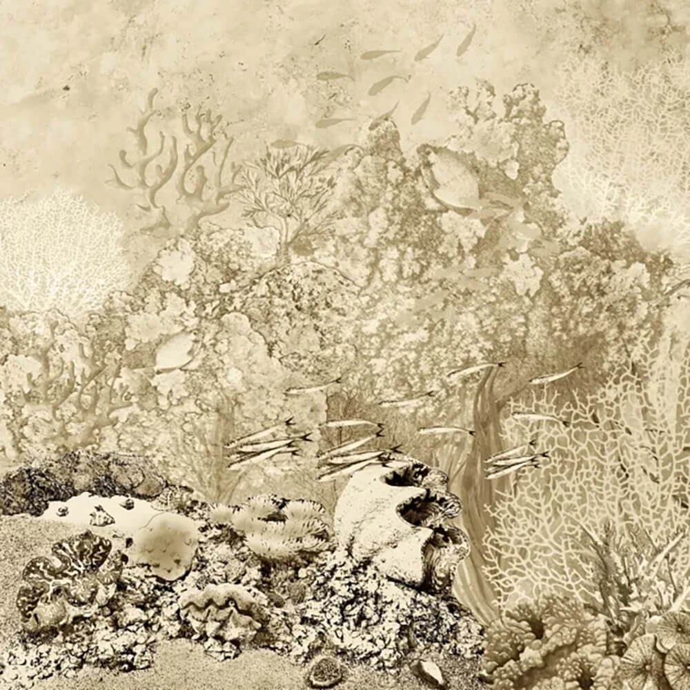 Recubrimiento de pared 2