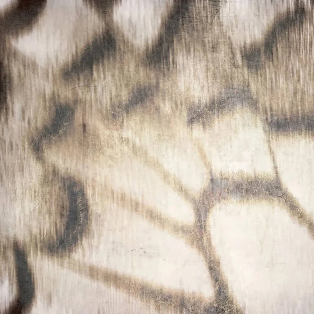 Стены, обои 1