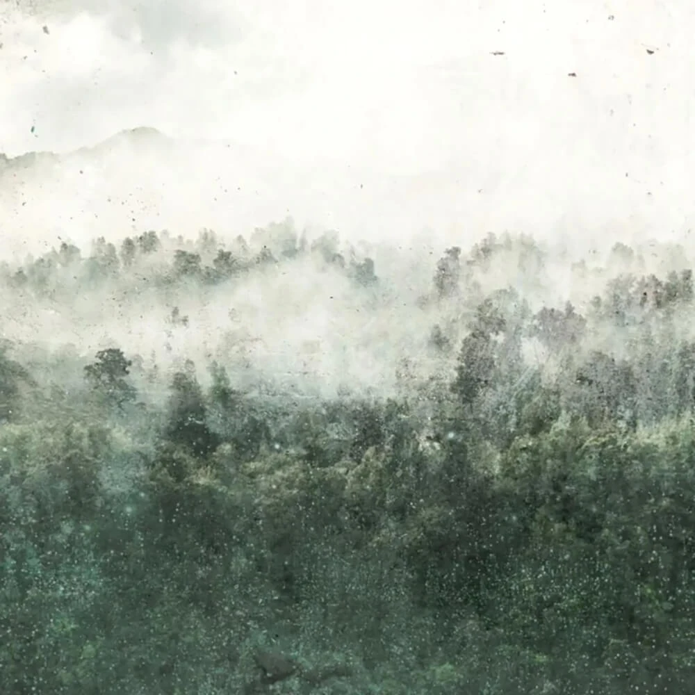 Recubrimiento de pared 1