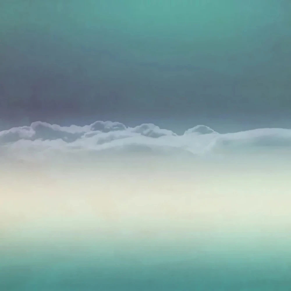 Rivestimento murale 1