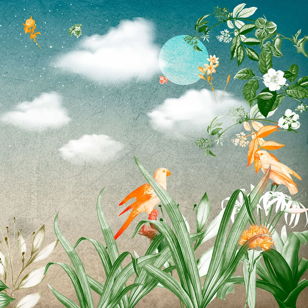 Стены, обои 3