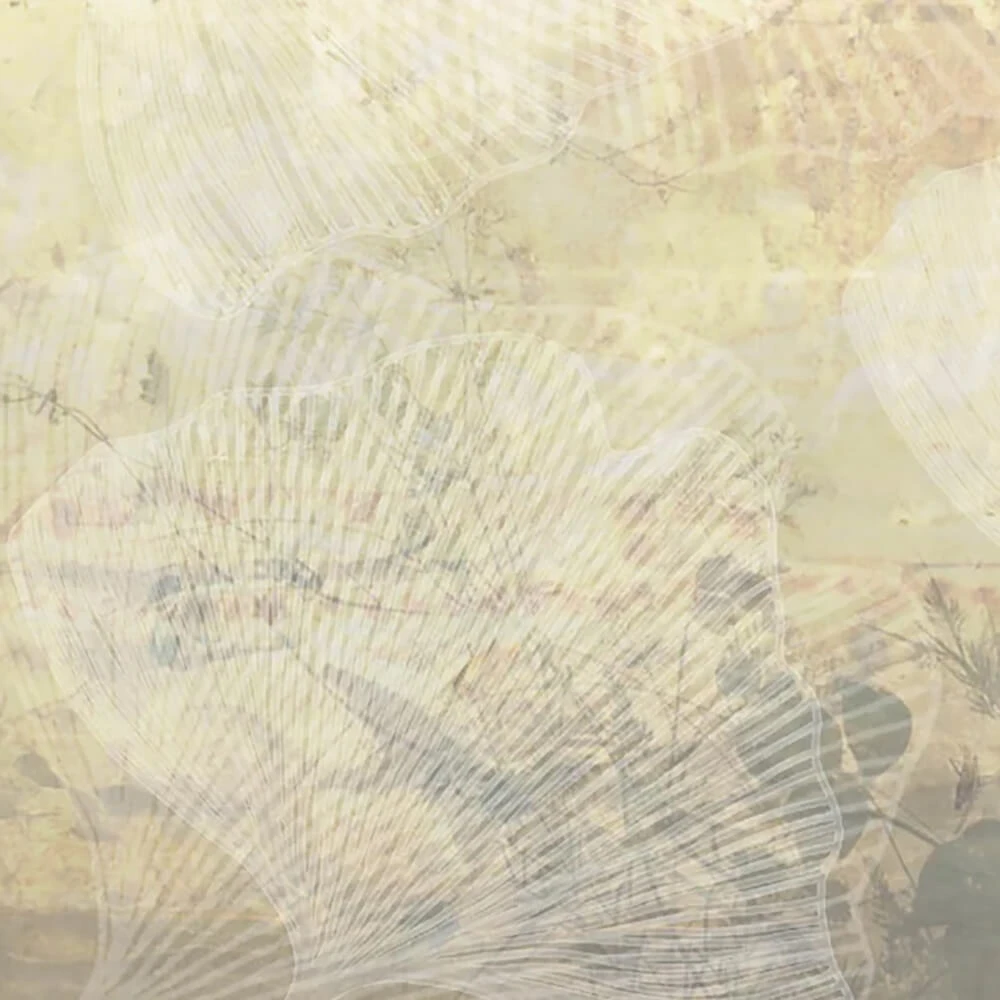 Recubrimiento de pared 1