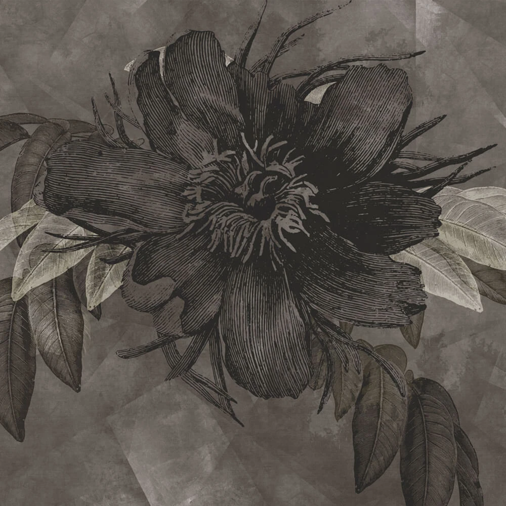 Стены, обои 1