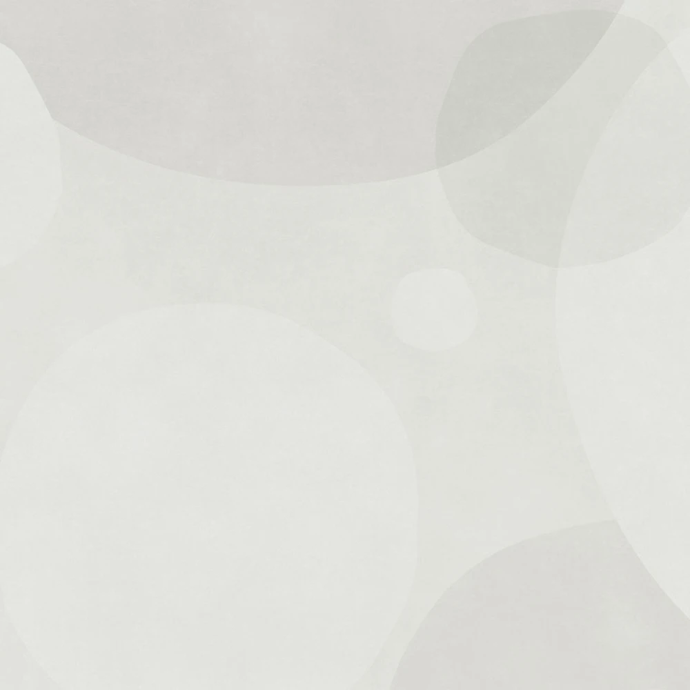 Rivestimento murale 1