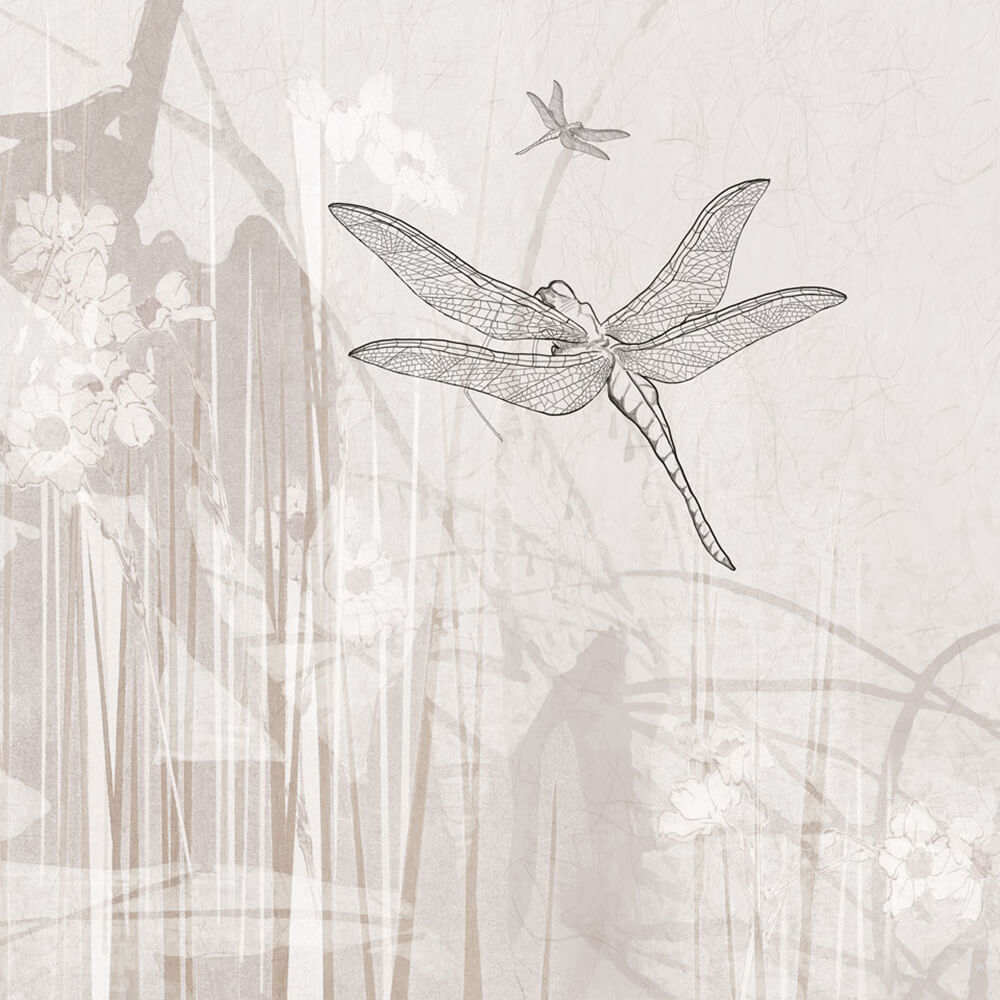 Wallpaper Dragonfly, Rimura - Download the Texture (37357 ...