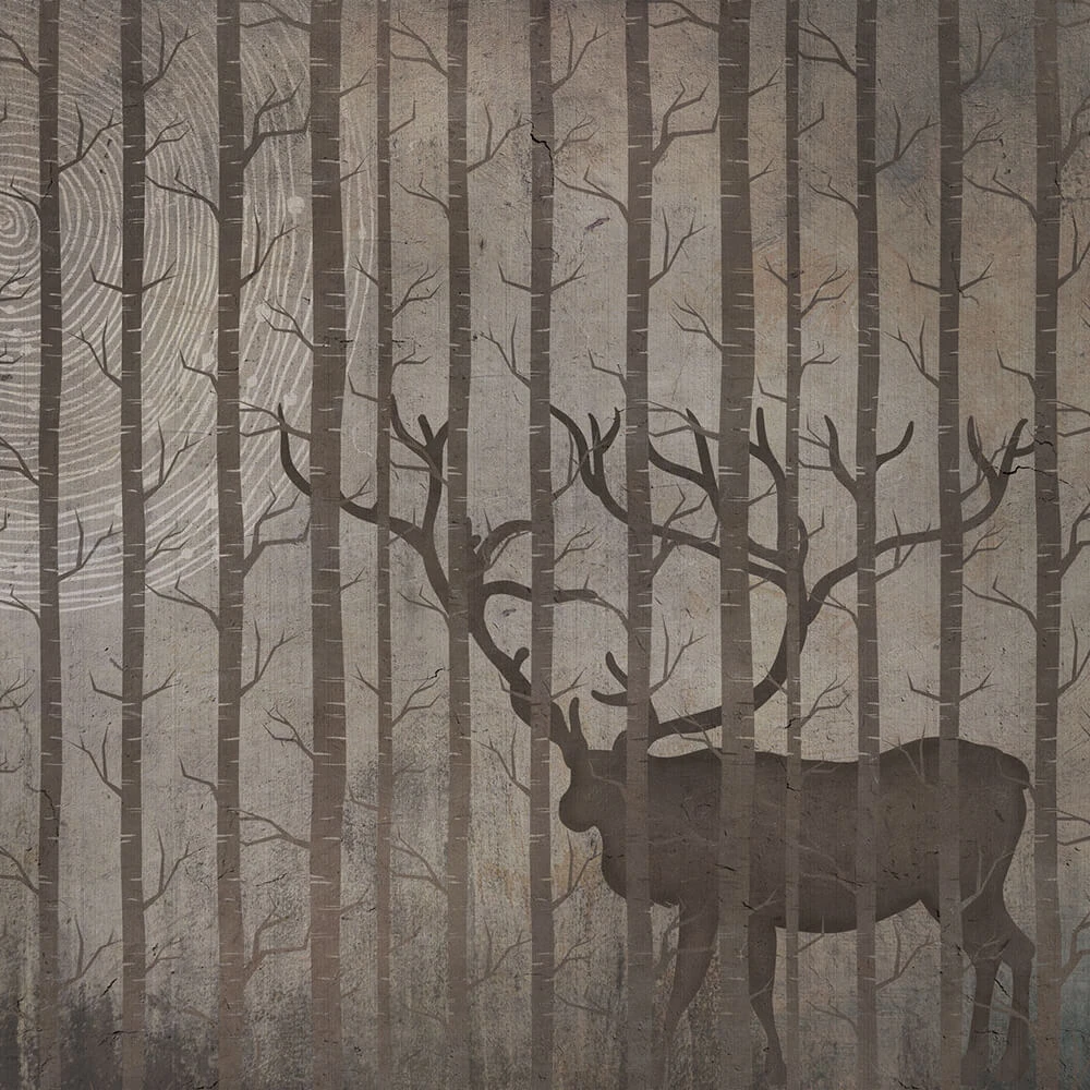 Պատի ծածկույթներ 1