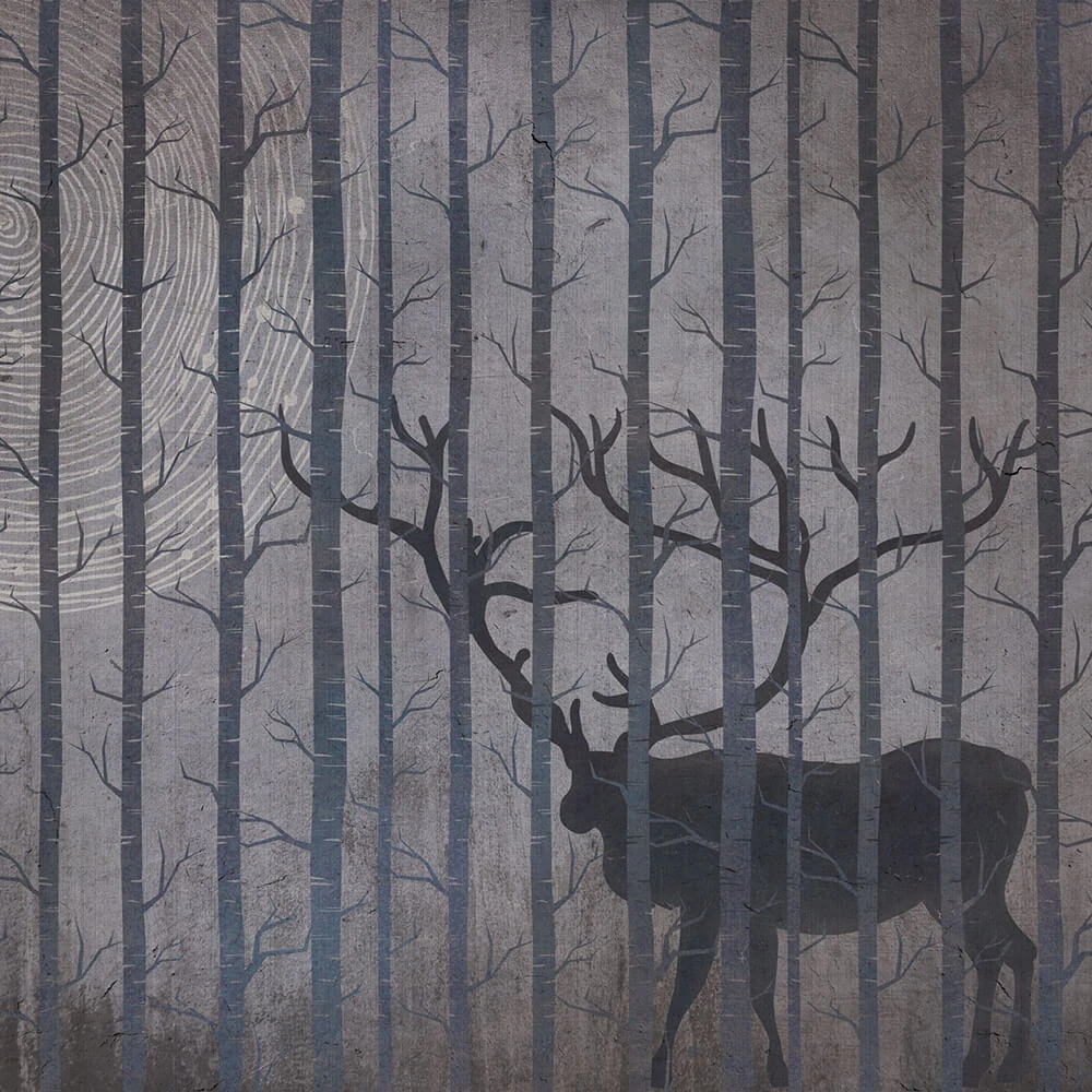 Պատի ծածկույթներ 2