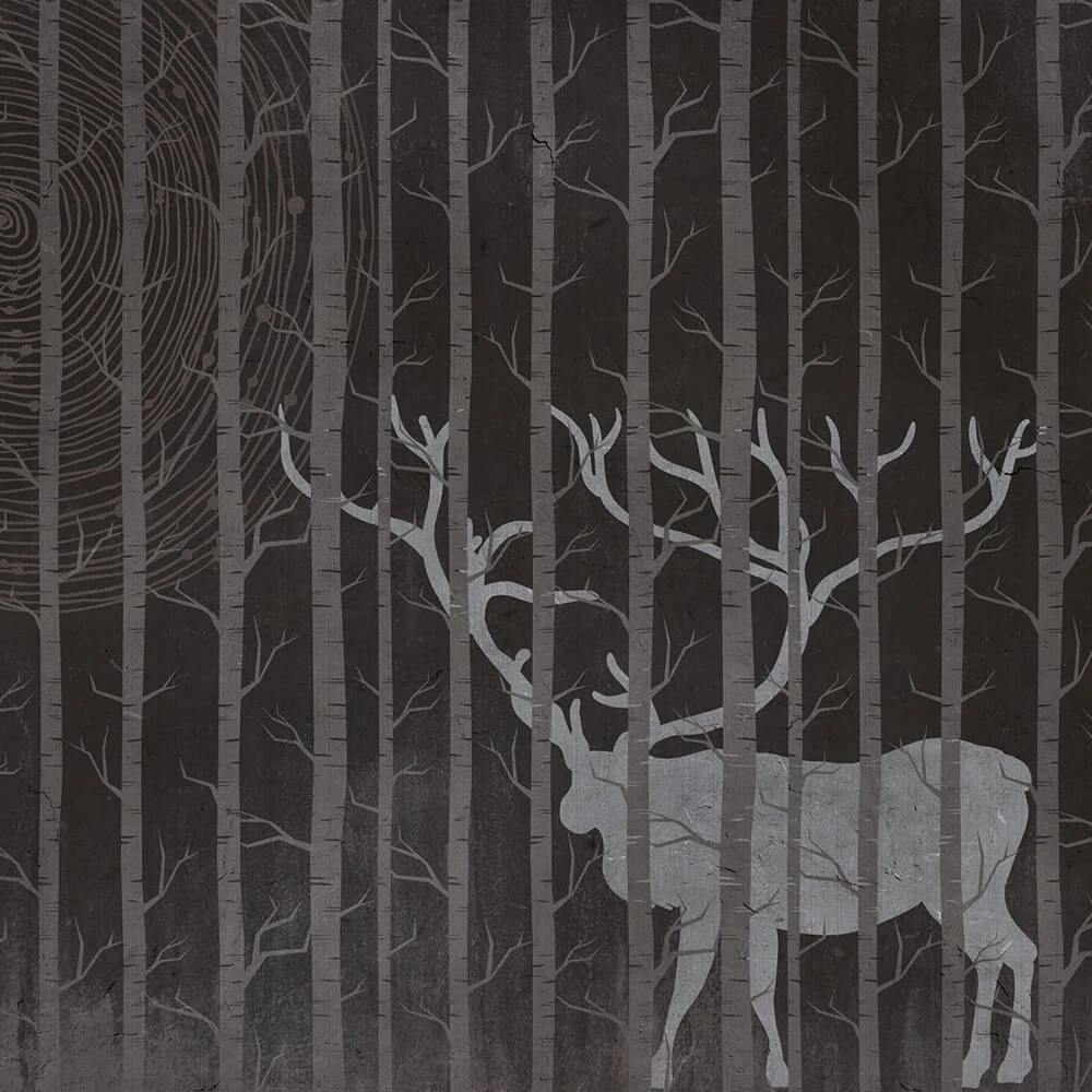 Պատի ծածկույթներ 3