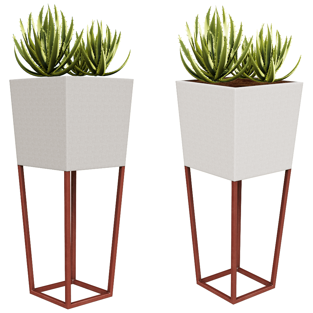 Vases  1
