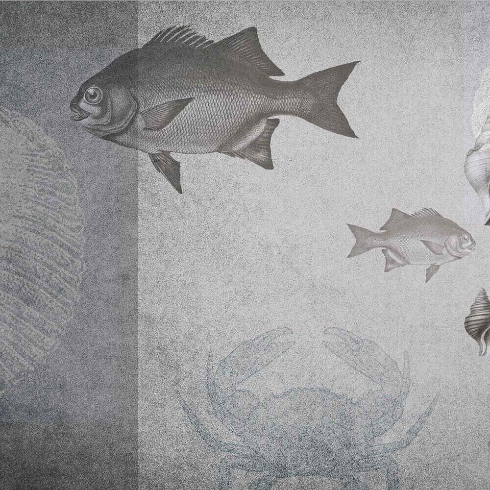 Պատի ծածկույթներ 1