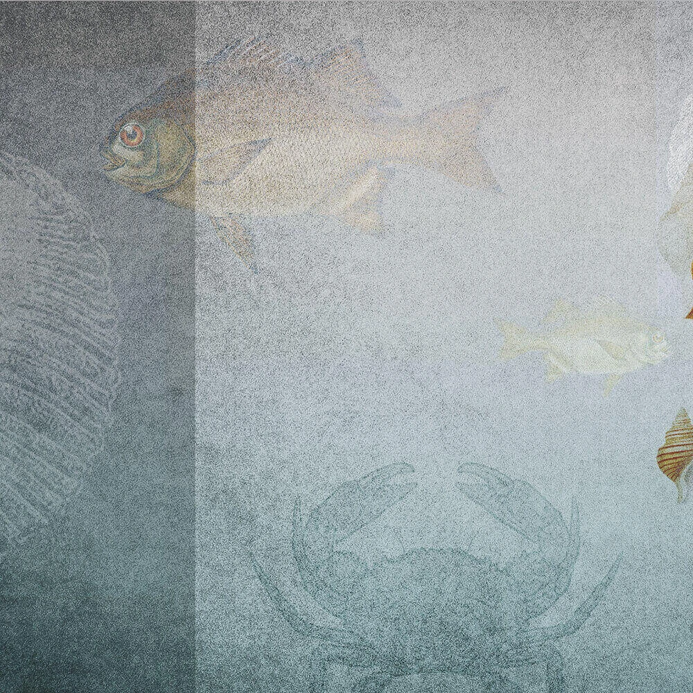 Պատի ծածկույթներ 2