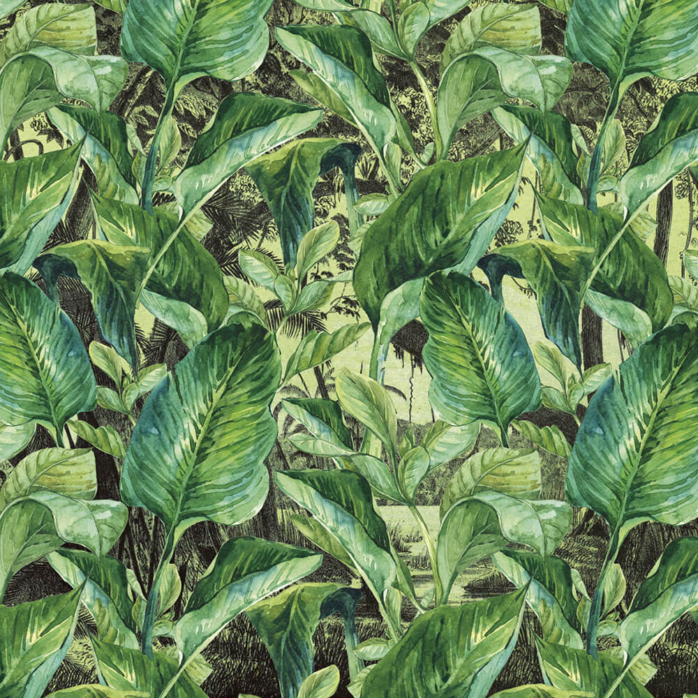 Wallpaper Jungle, Rimura - Download the Texture (37682) | zeelproject.com