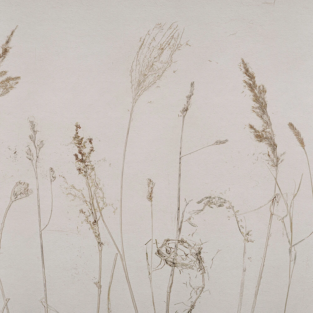 Wallpaper Wall Art Campo di Avena