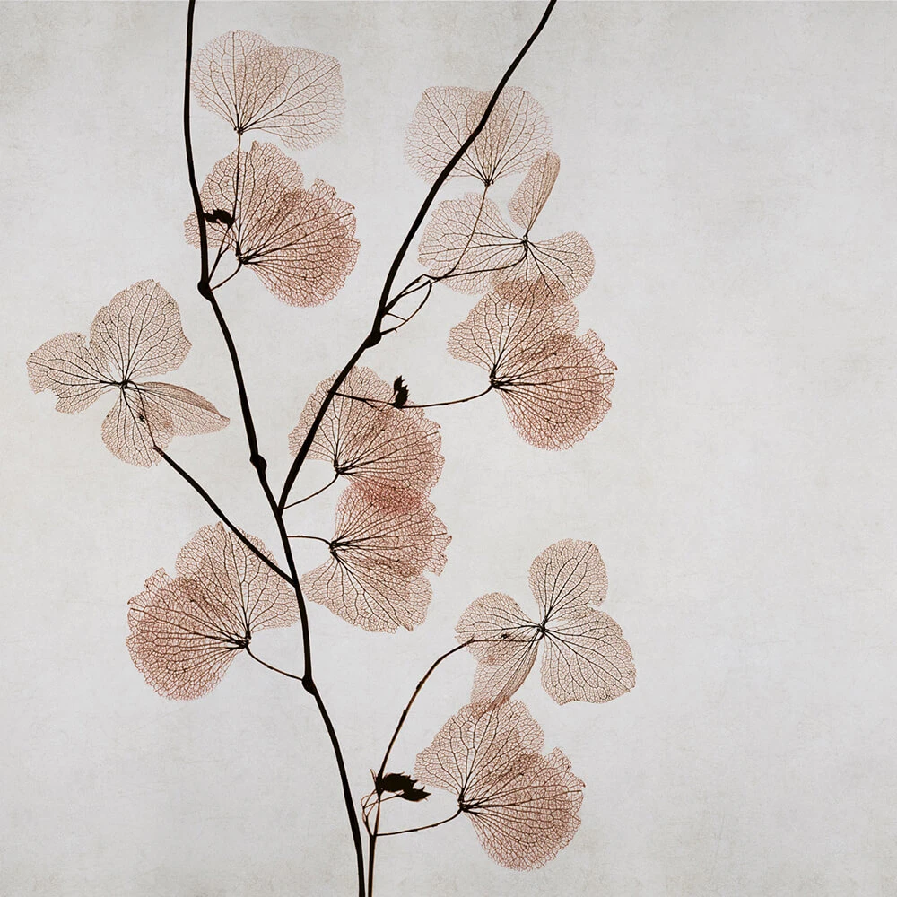 Recubrimiento de pared 1