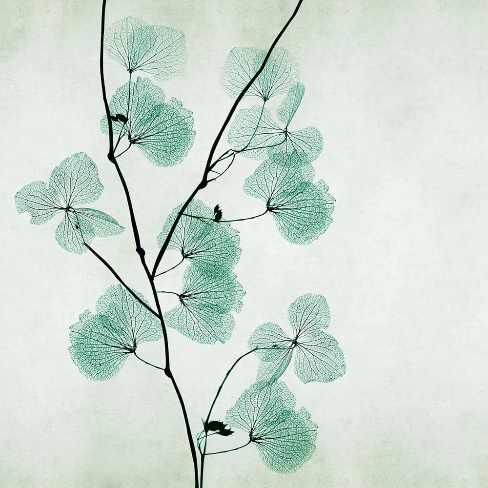 Recubrimiento de pared 3