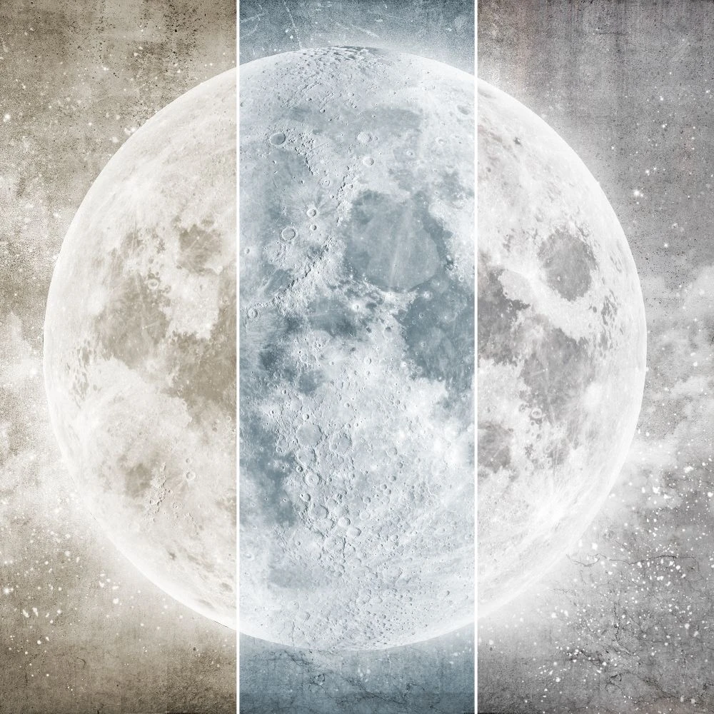 Recubrimiento de pared 1