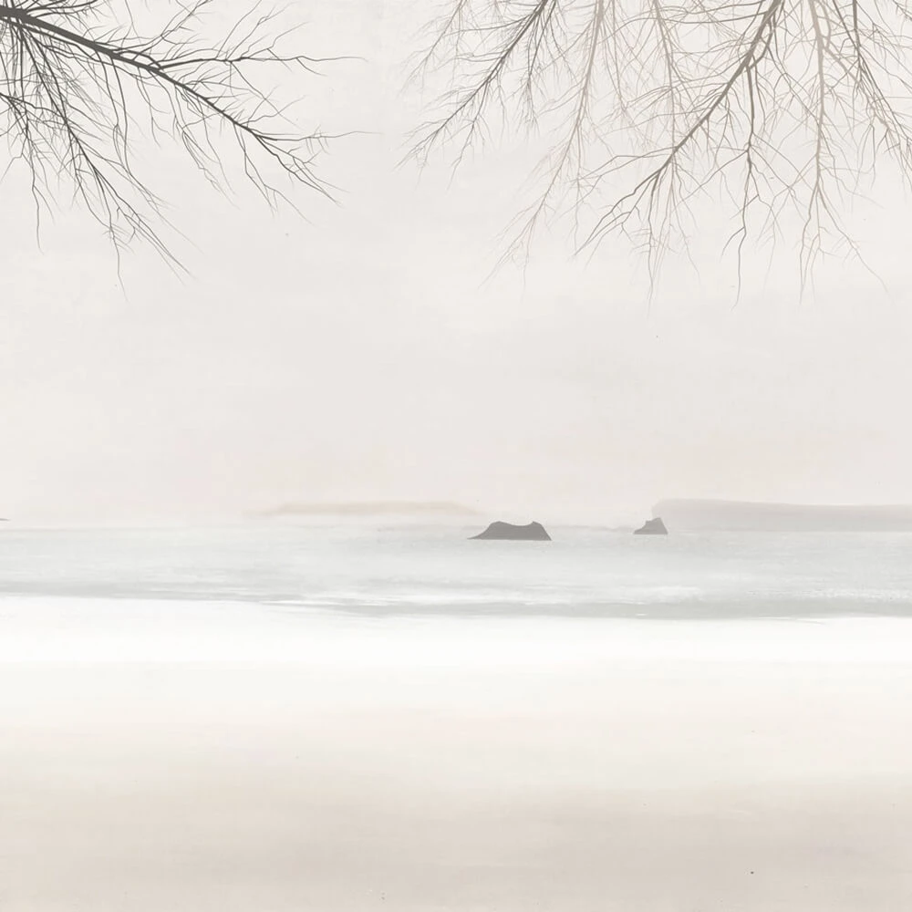 Պատի ծածկույթներ 1