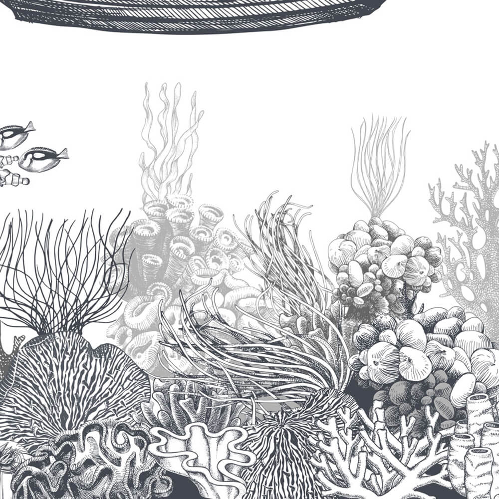 Wallpaper Reef, Rimura - Download the Texture (38109) | zeelproject.com
