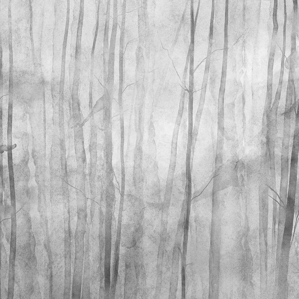 Պատի ծածկույթներ 1