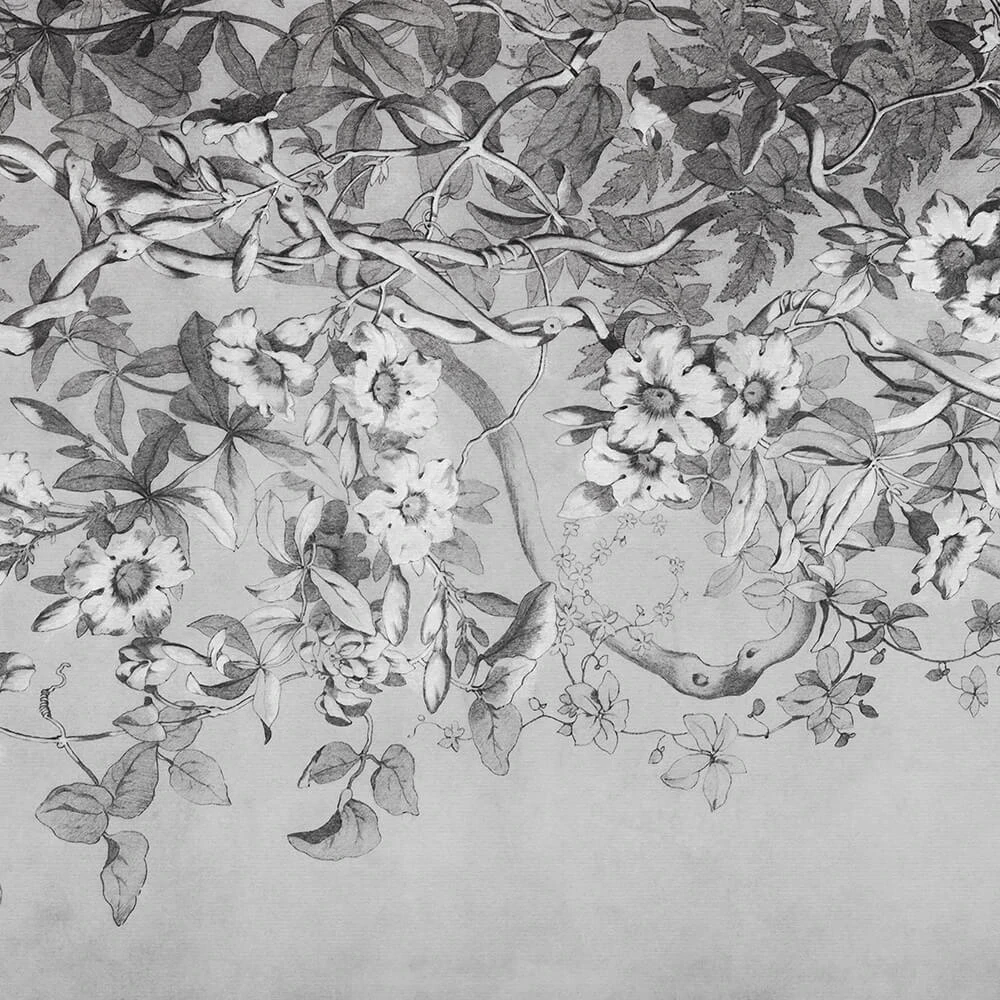 Պատի ծածկույթներ 1