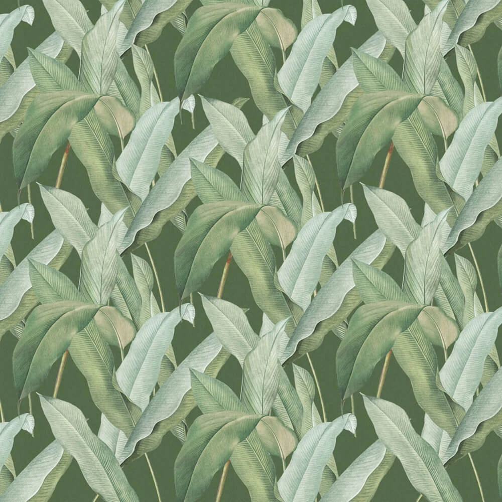 Recubrimiento de pared 1