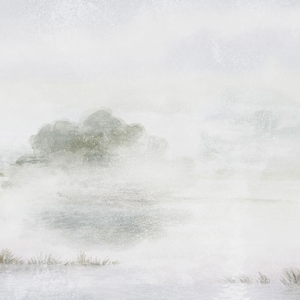 Պատի ծածկույթներ 1