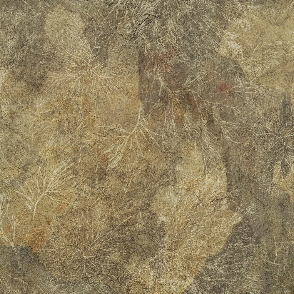 Стены, обои 1