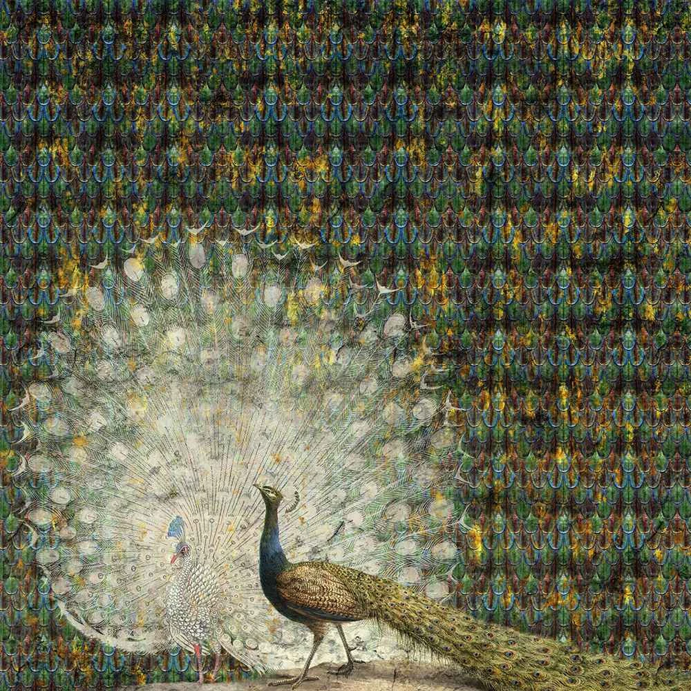 Rivestimento murale 1