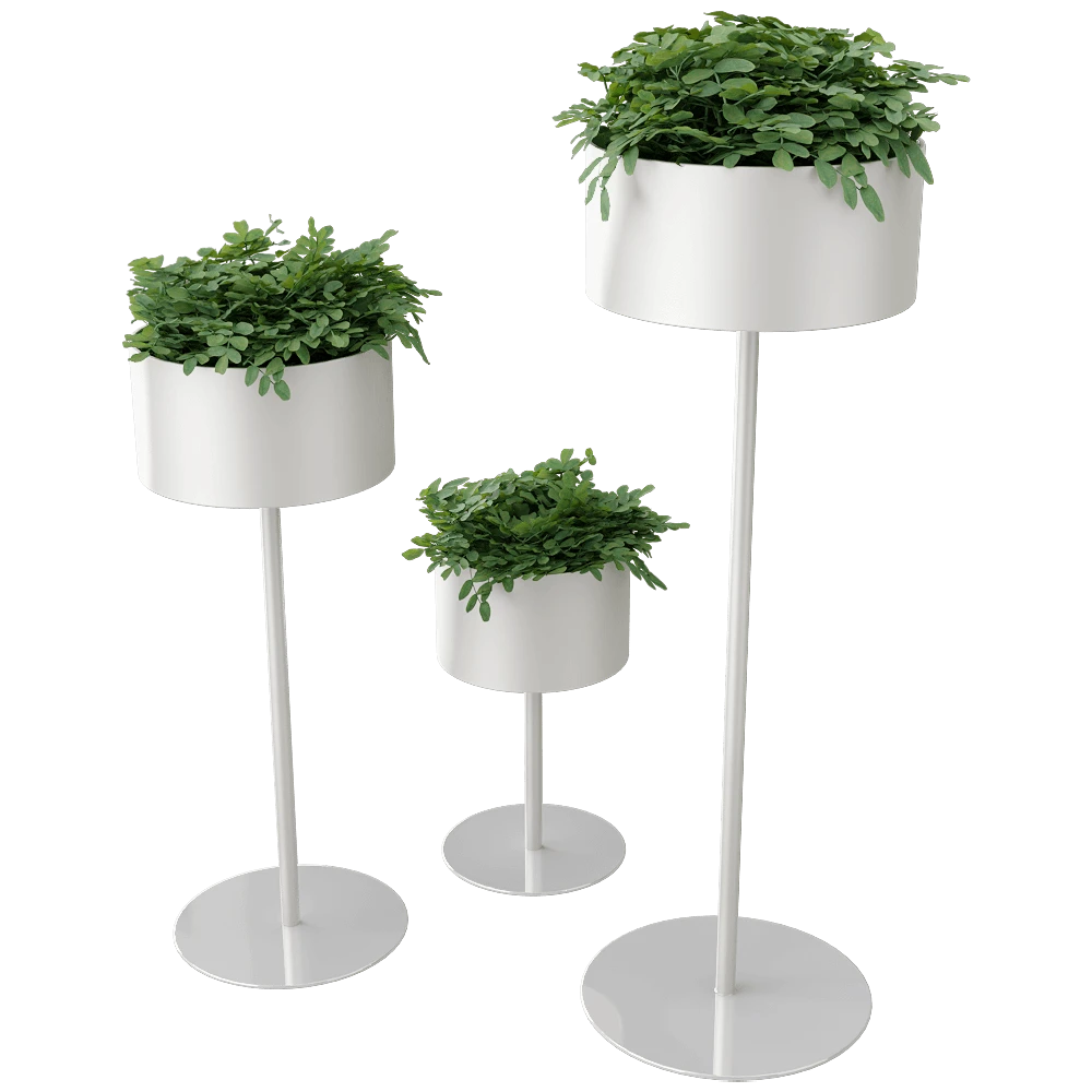 Other decorative objects 1