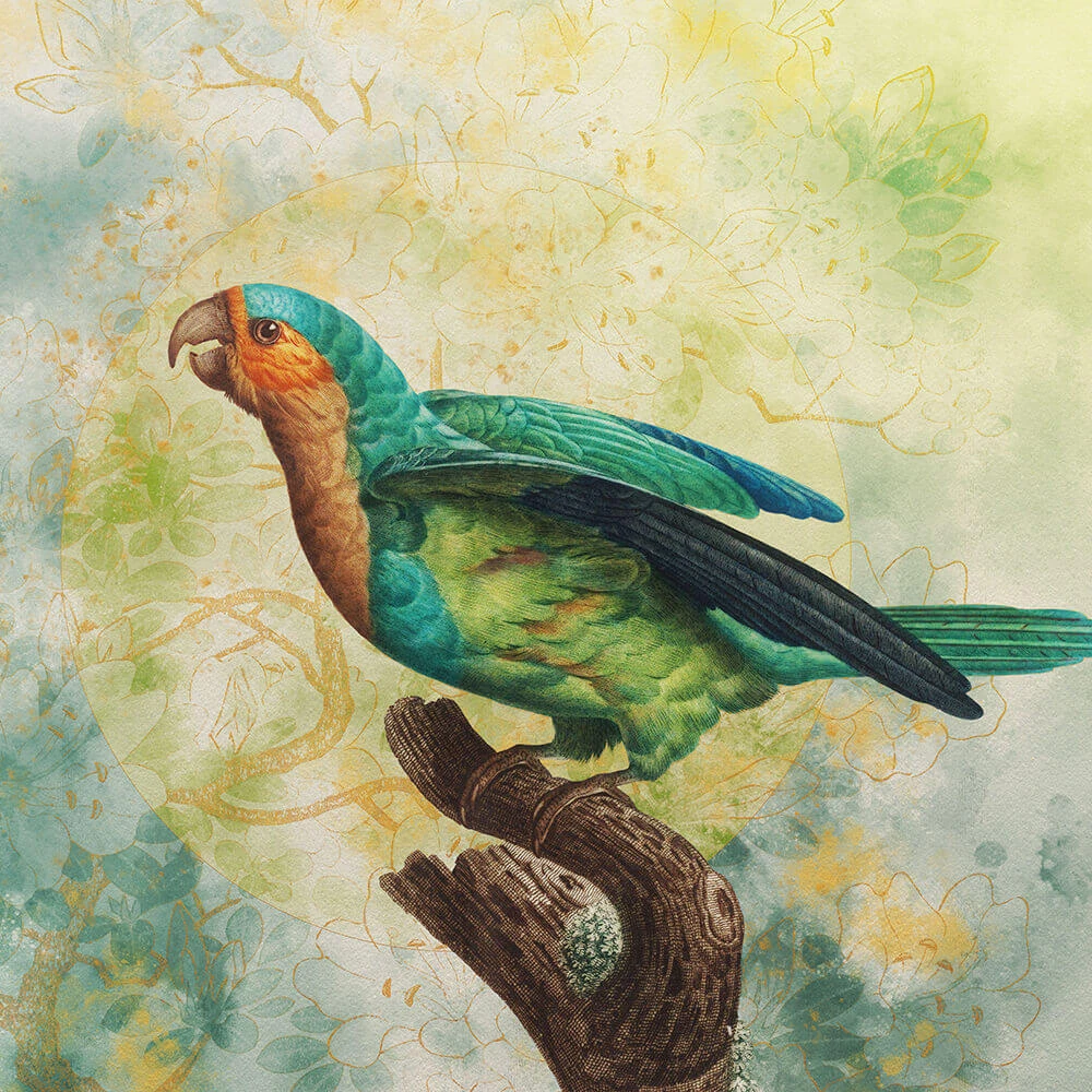 Стены, обои 1