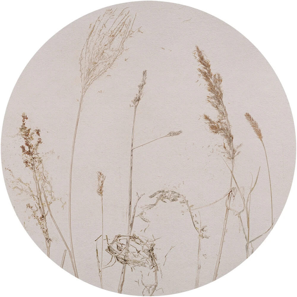 Round Wallpaper Wall Art Campo Di Avena