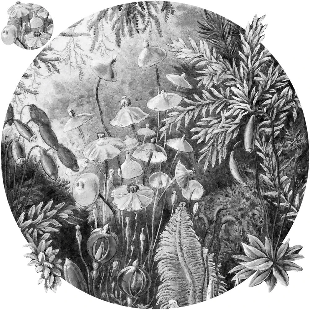 Wallpaper Wall Art Fairytale Black & White round