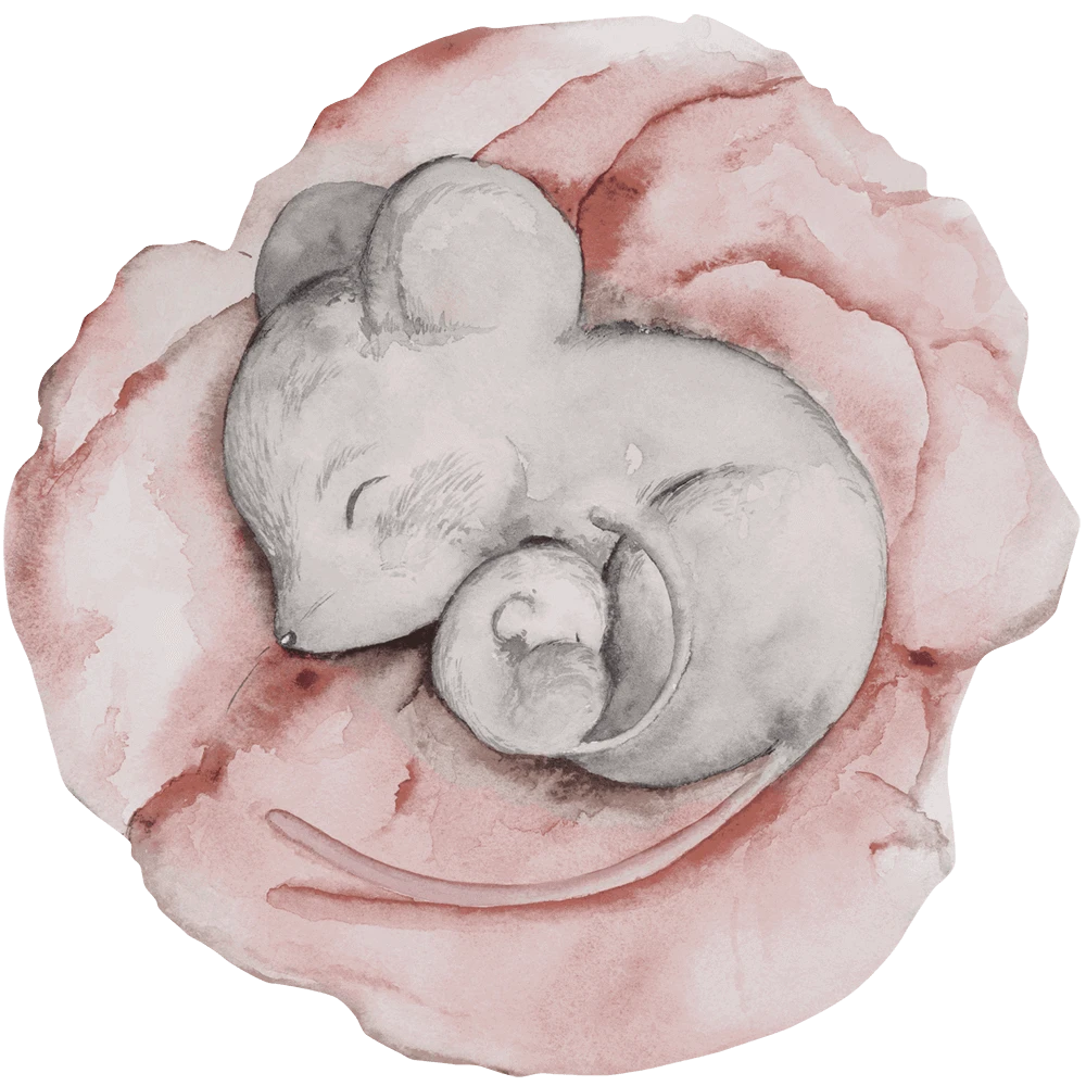 Wallpaper Wall Art Little Nap Light round
