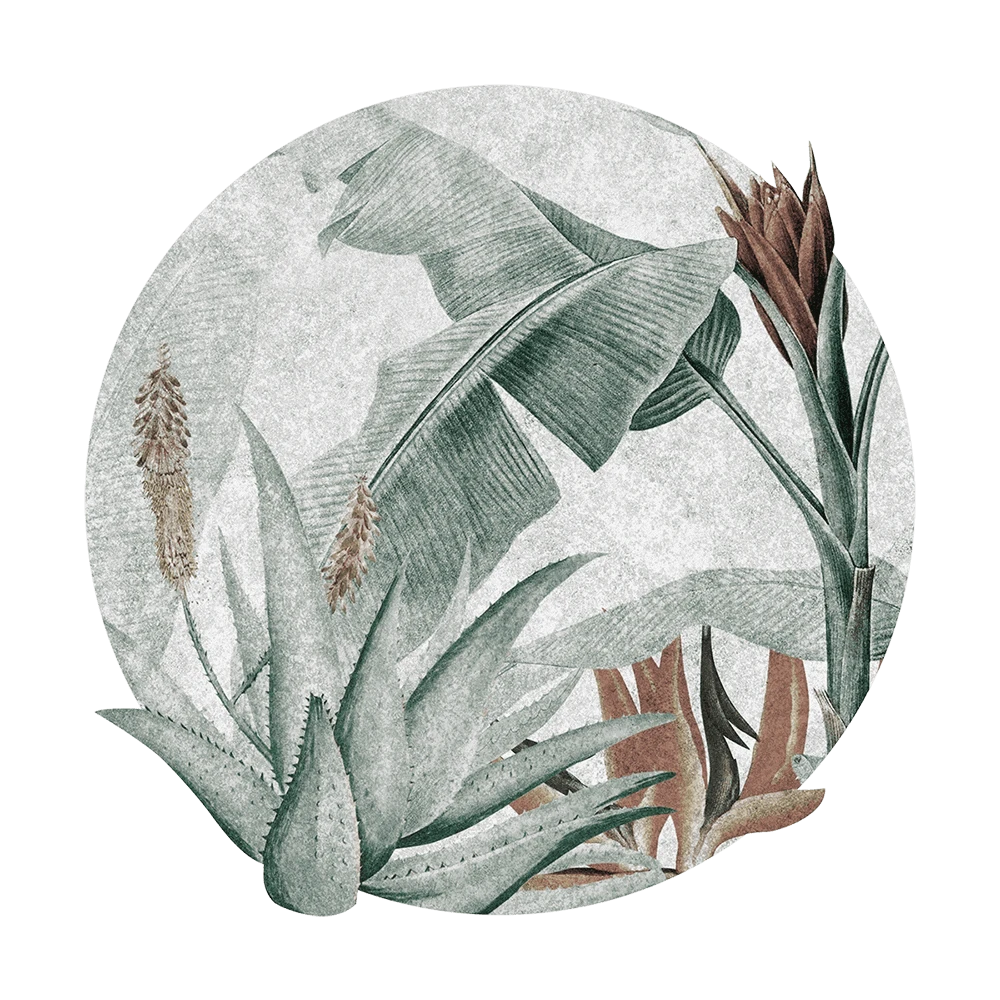 Պատի ծածկույթներ 1